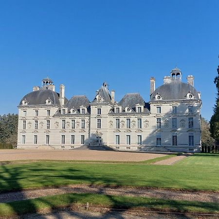Trainefeuilles - Chambres D'Hotes Proche Zoo De Beauval Le Controis-en-Sologne Kültér fotó