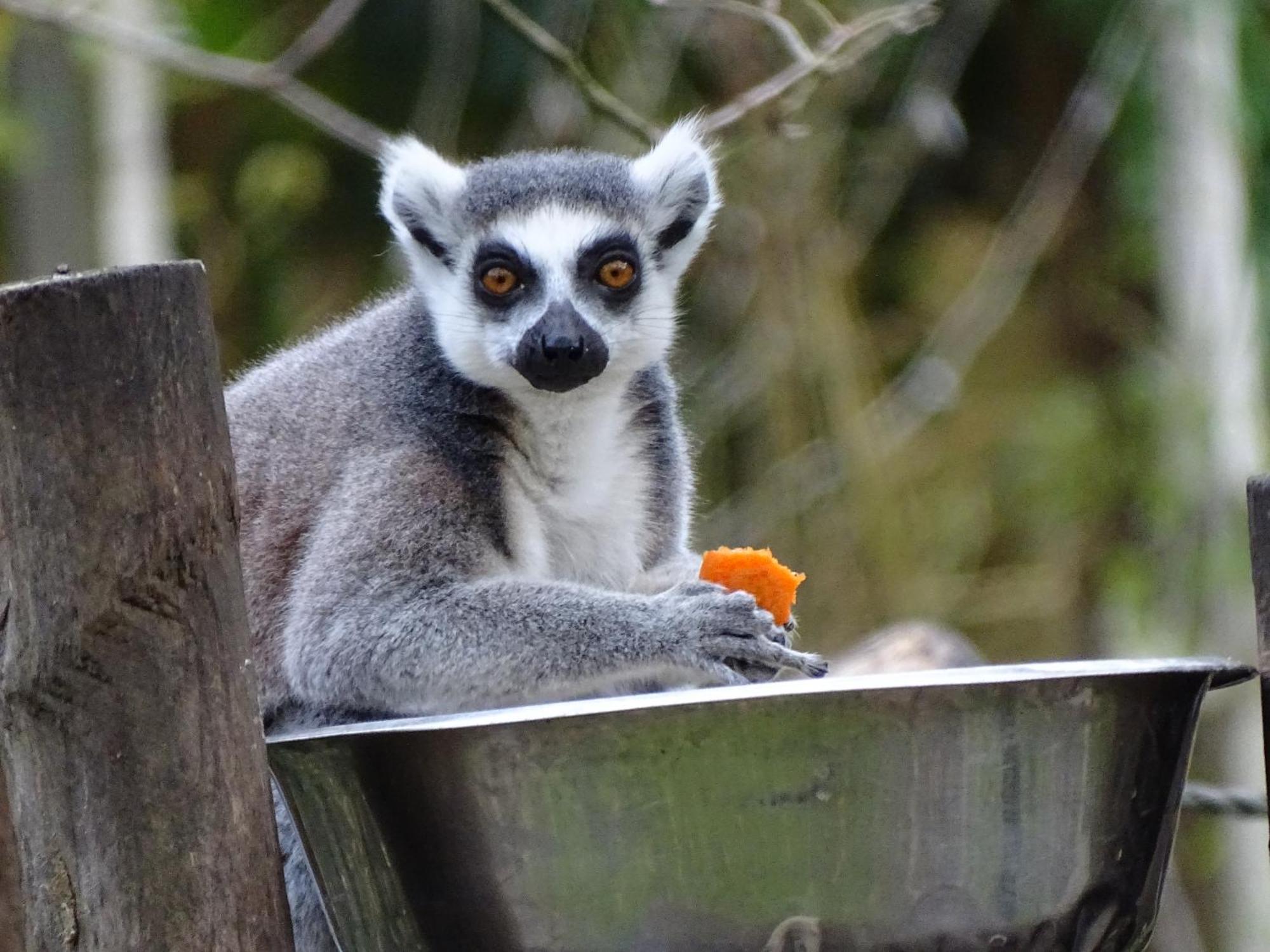Trainefeuilles - Chambres D'Hotes Proche Zoo De Beauval Le Controis-en-Sologne Kültér fotó