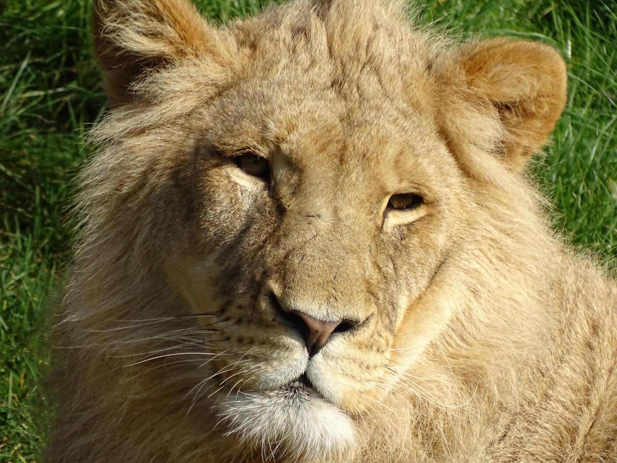 Trainefeuilles - Chambres D'Hotes Proche Zoo De Beauval Le Controis-en-Sologne Kültér fotó