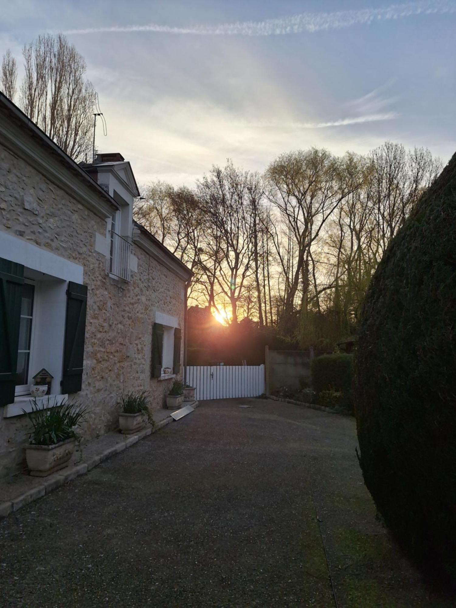 Trainefeuilles - Chambres D'Hotes Proche Zoo De Beauval Le Controis-en-Sologne Kültér fotó